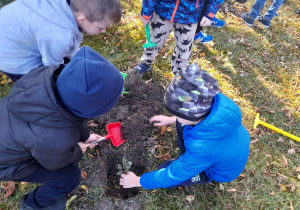 Dzieci z grupy Pszczółek sadzą drzewko.