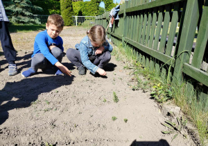 Dziewczynka i chłopiec sieją warzywa.