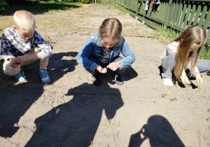 Dwie dziewczynki i jeden chłopiec sieją warzywa.